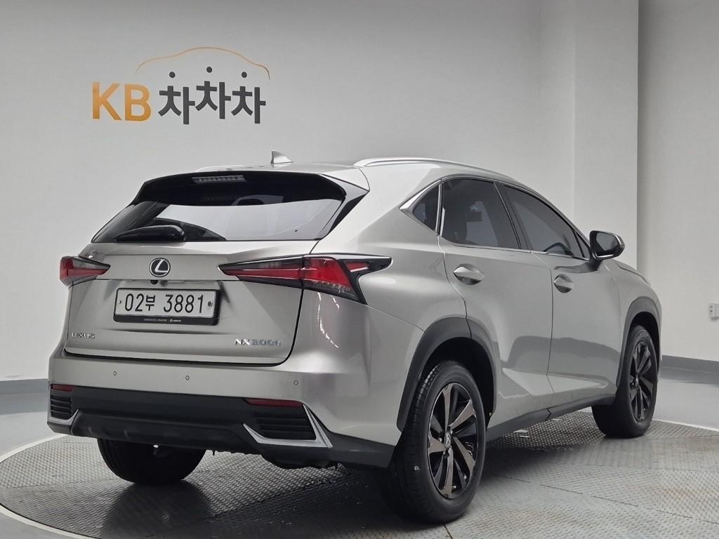 2019 LEXUS NX 