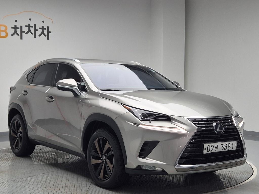 2019 LEXUS NX 