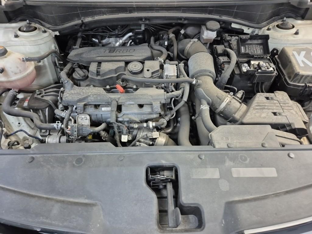 2022 KIA THE ALL NEW SPORTAGE (NQ5) 