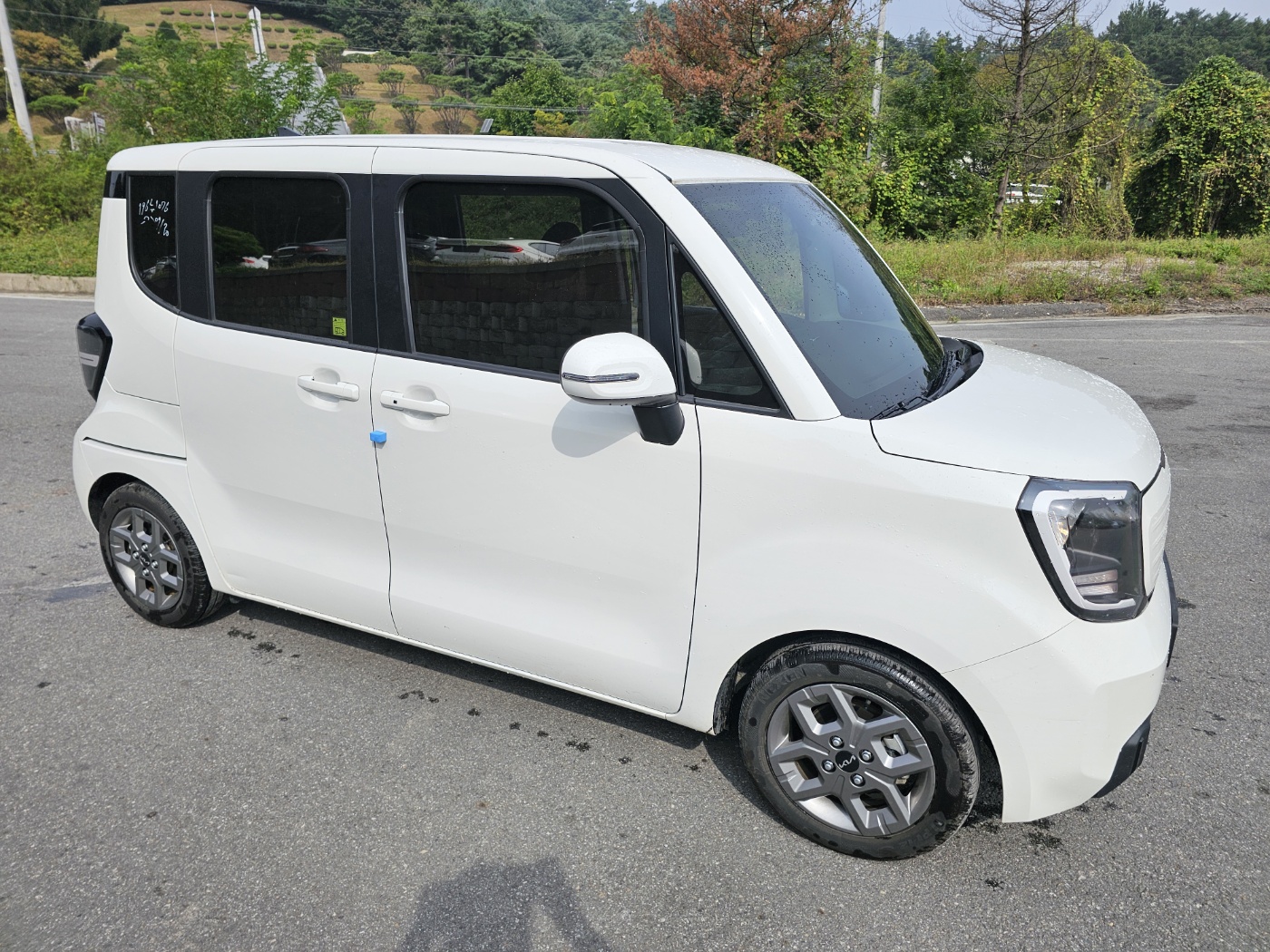 2024 Kia The New Ray