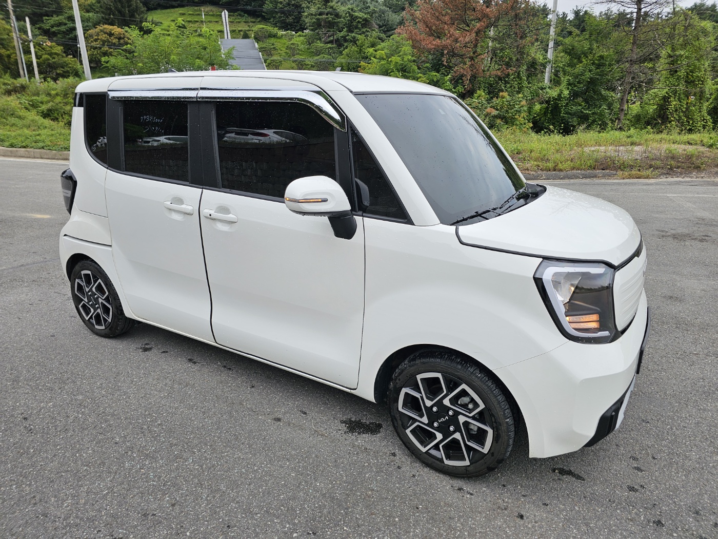 2024 Kia The New Ray