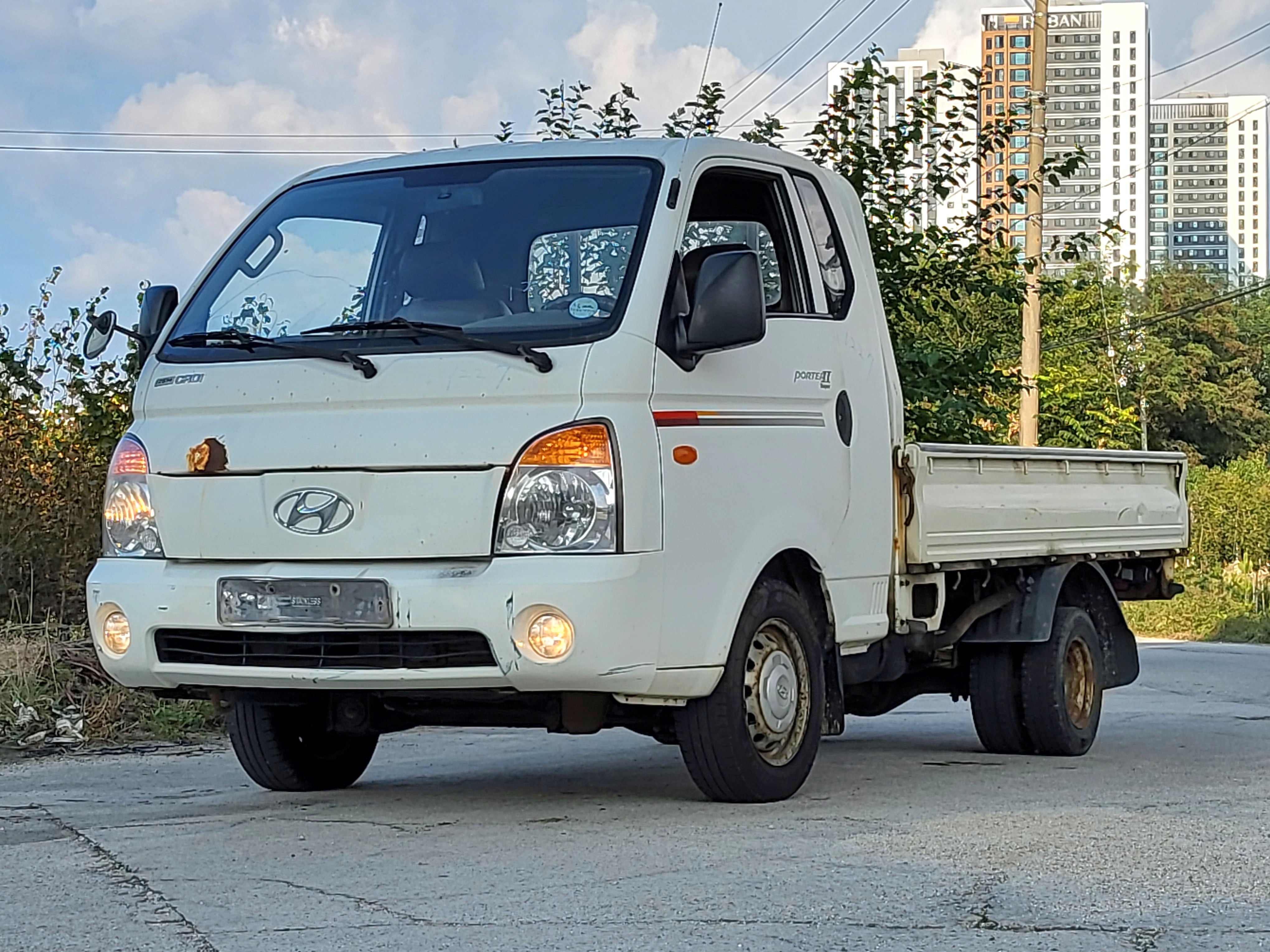 2010 Hyundai Porter2 Super Cab