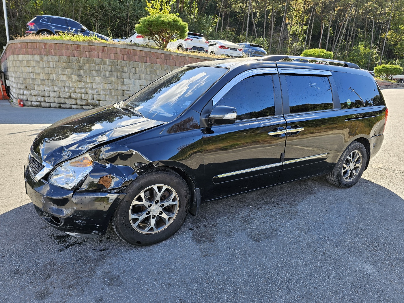 2013 Kia Grand Carnival R