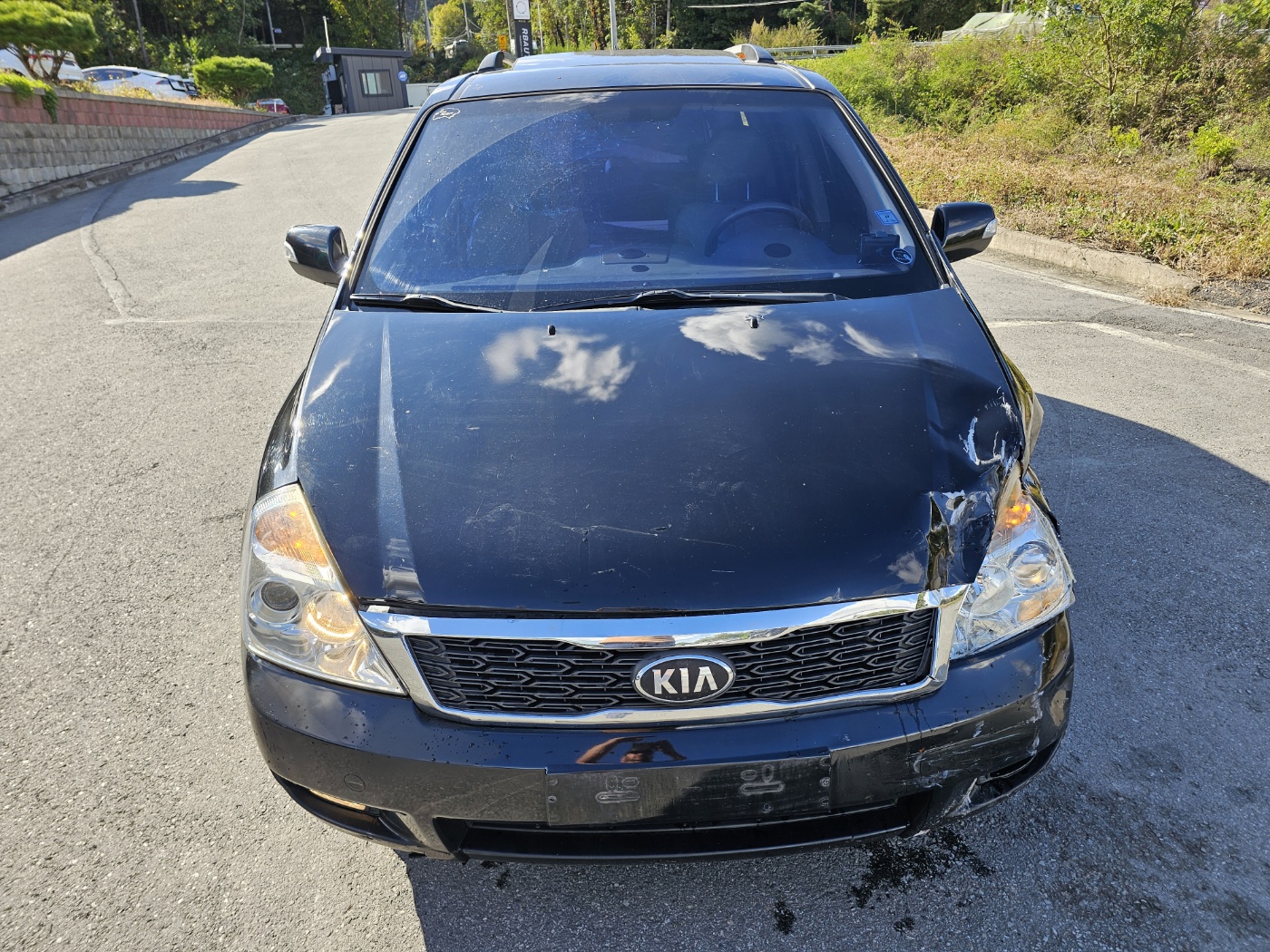 2013 Kia Grand Carnival R
