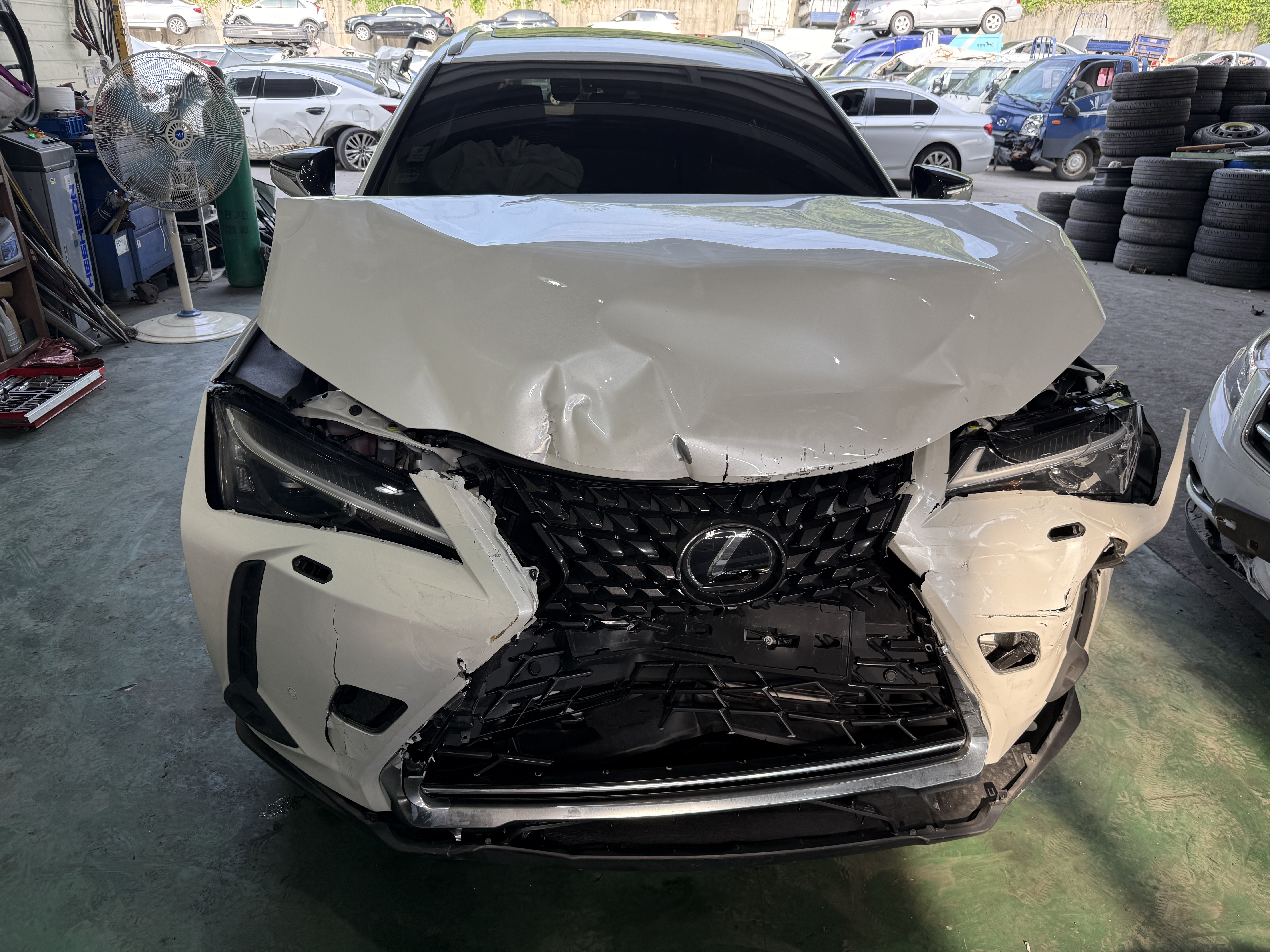 2024 Lexus UX250h