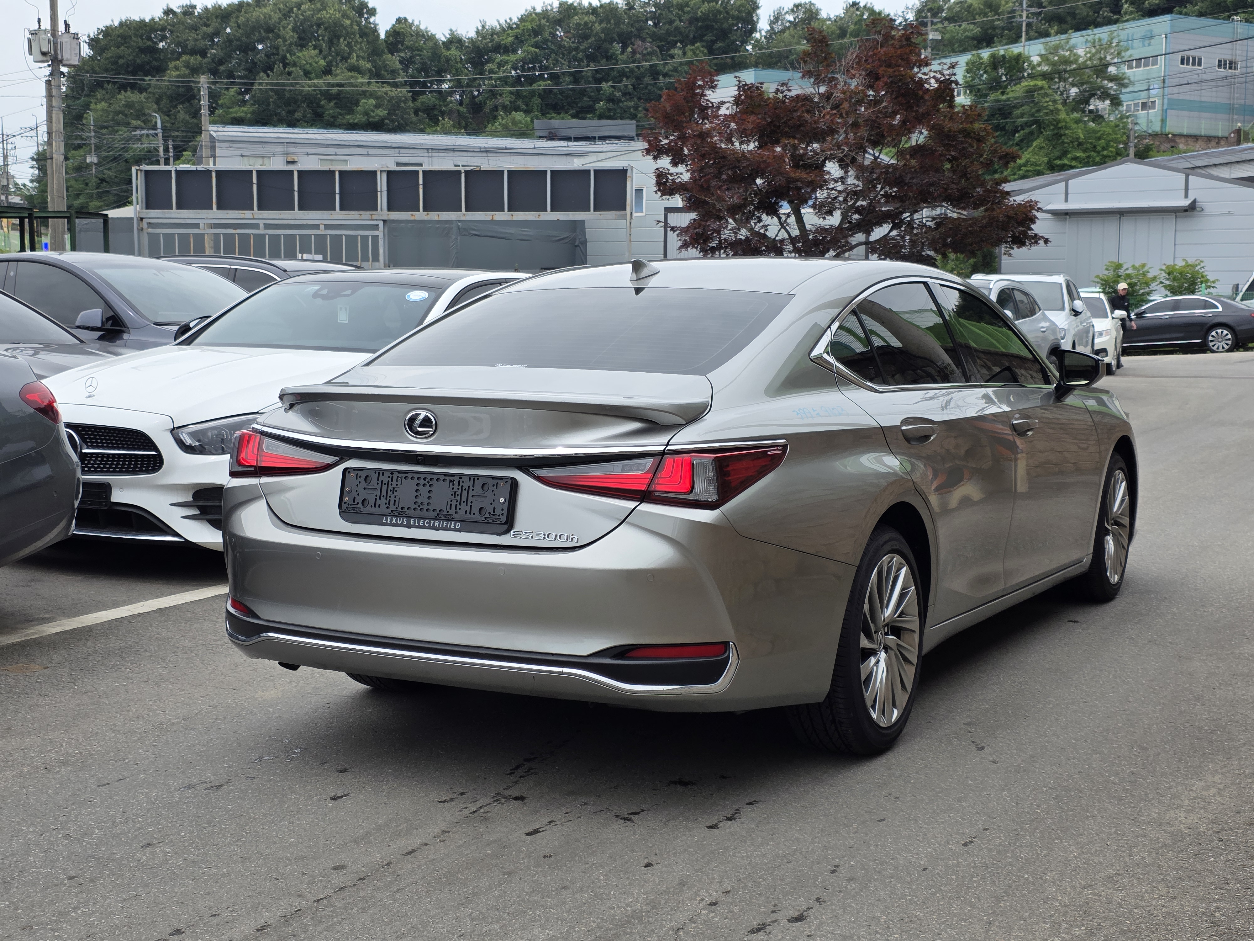 2025 Lexus ES300h 7th Gen