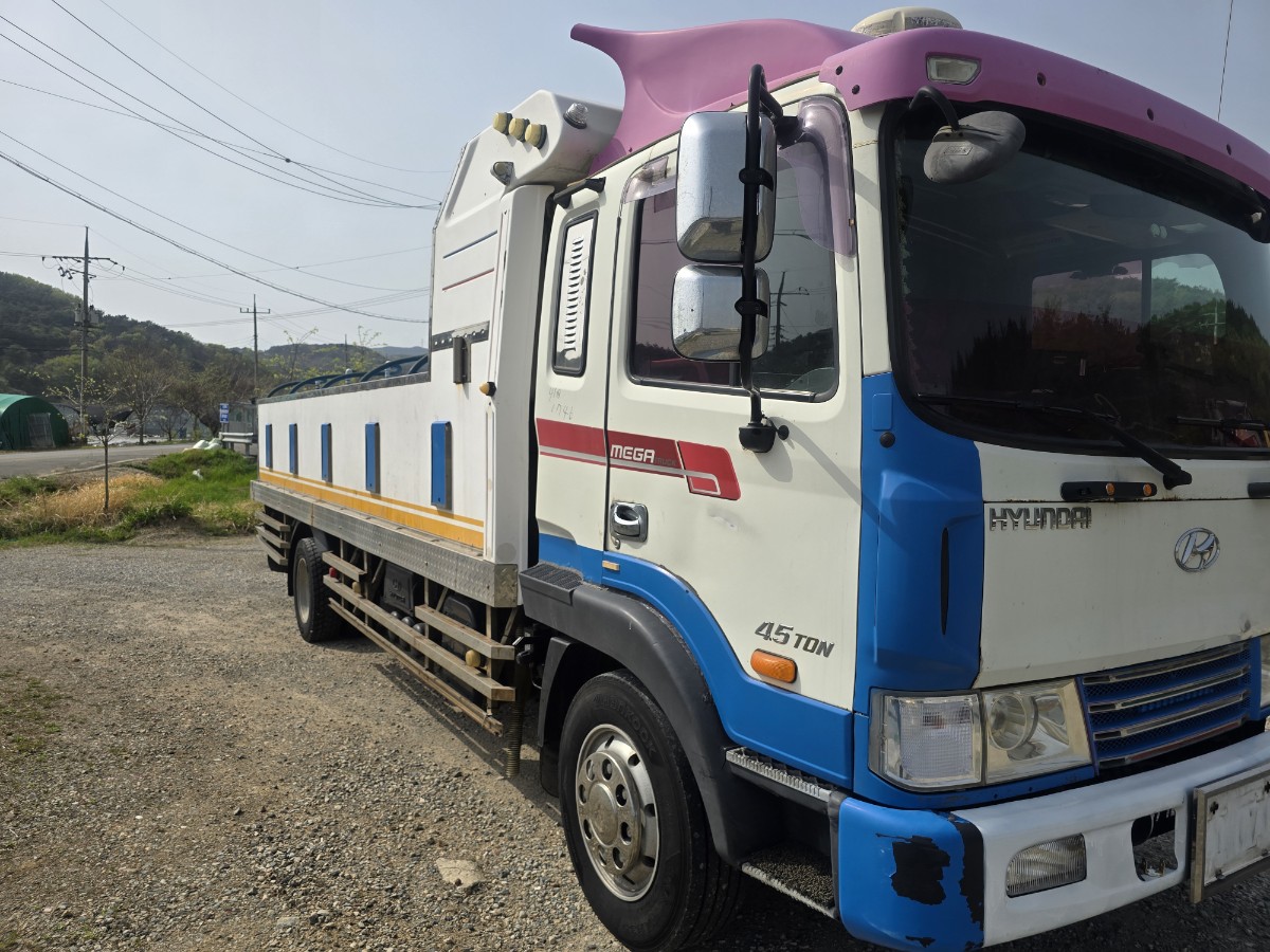 2010 Hyundai Mega Truck