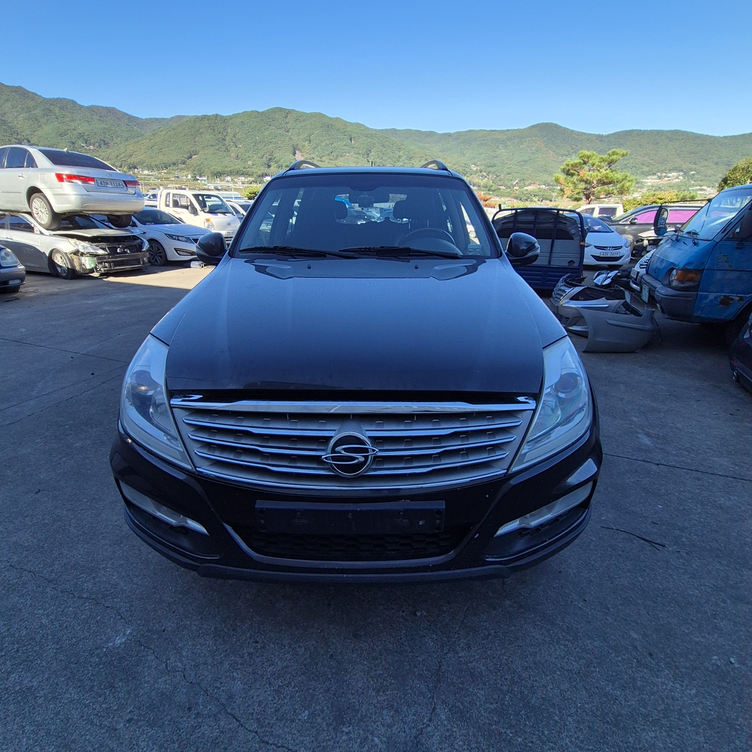 2013 KGM (Ssangyong) Rexton W