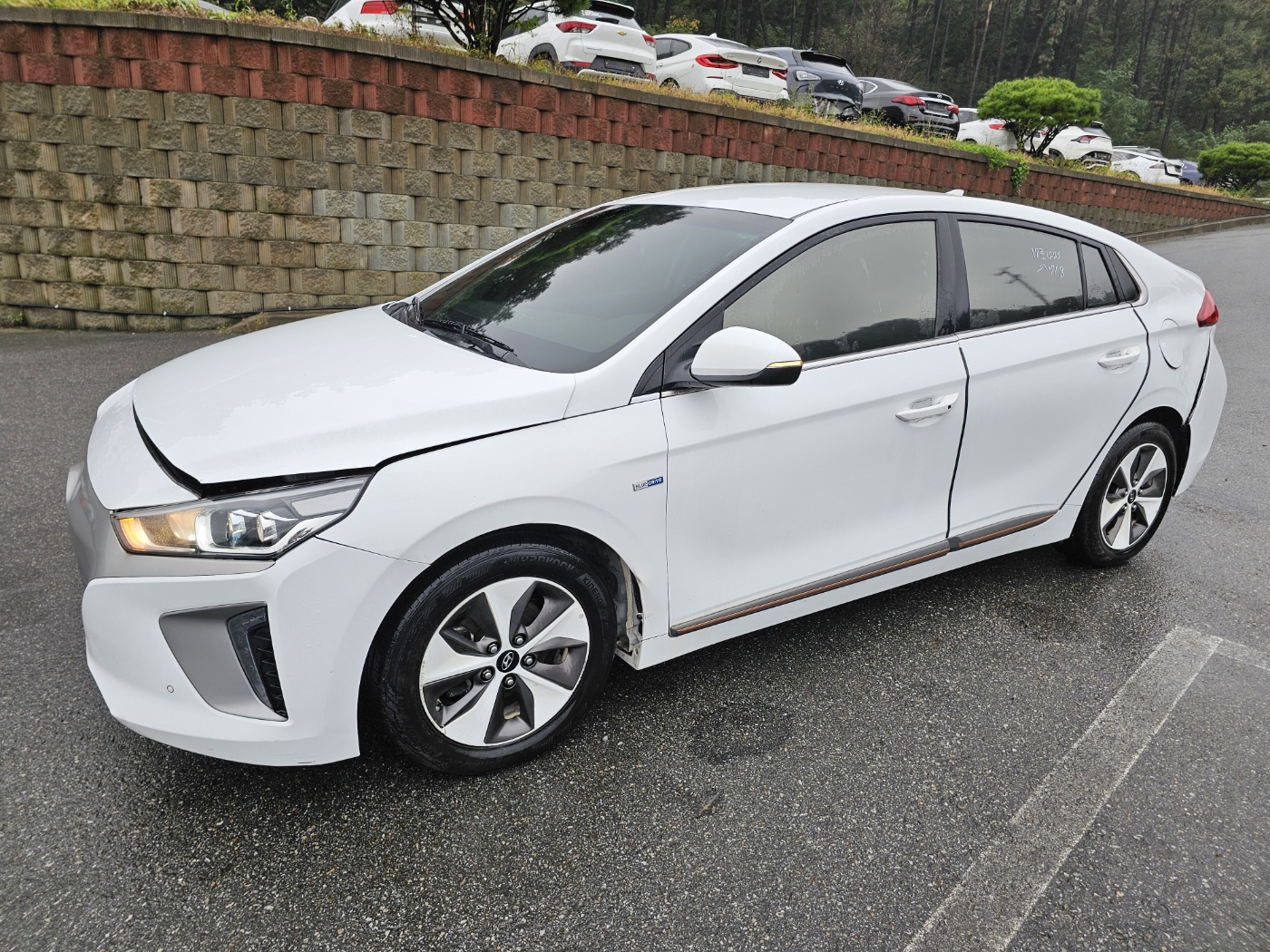 2019 Hyundai Ioniq Electric