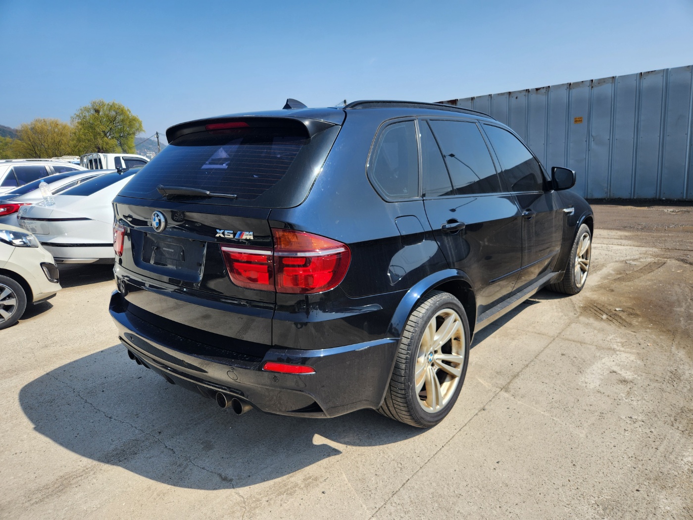 2010 BMW X5M (E70)