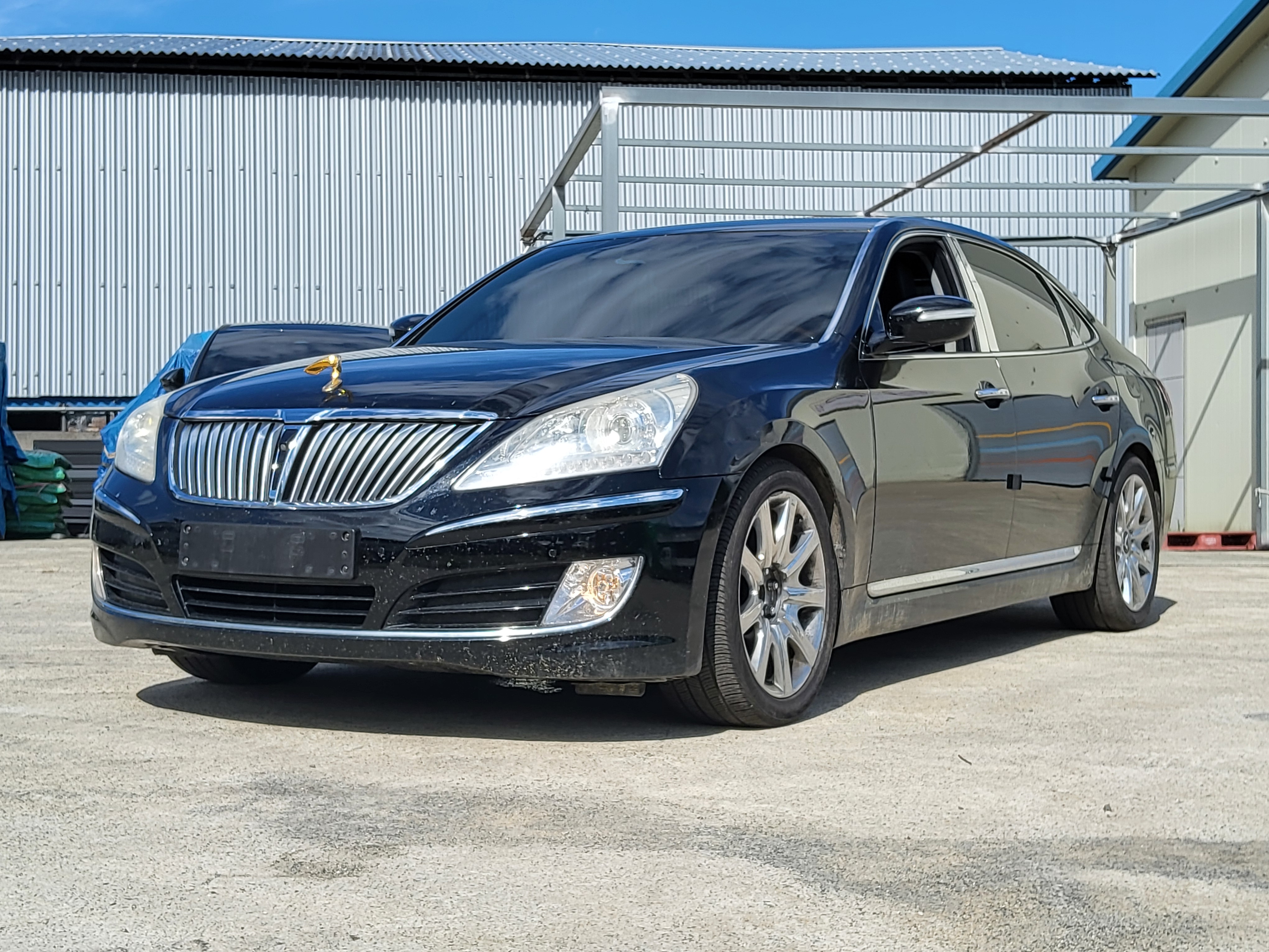 2010 Hyundai Equus(New)