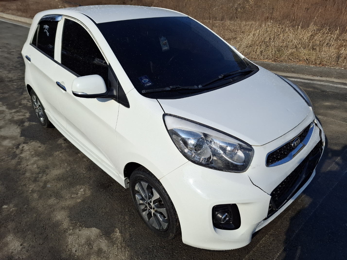 2016 Kia The New Morning