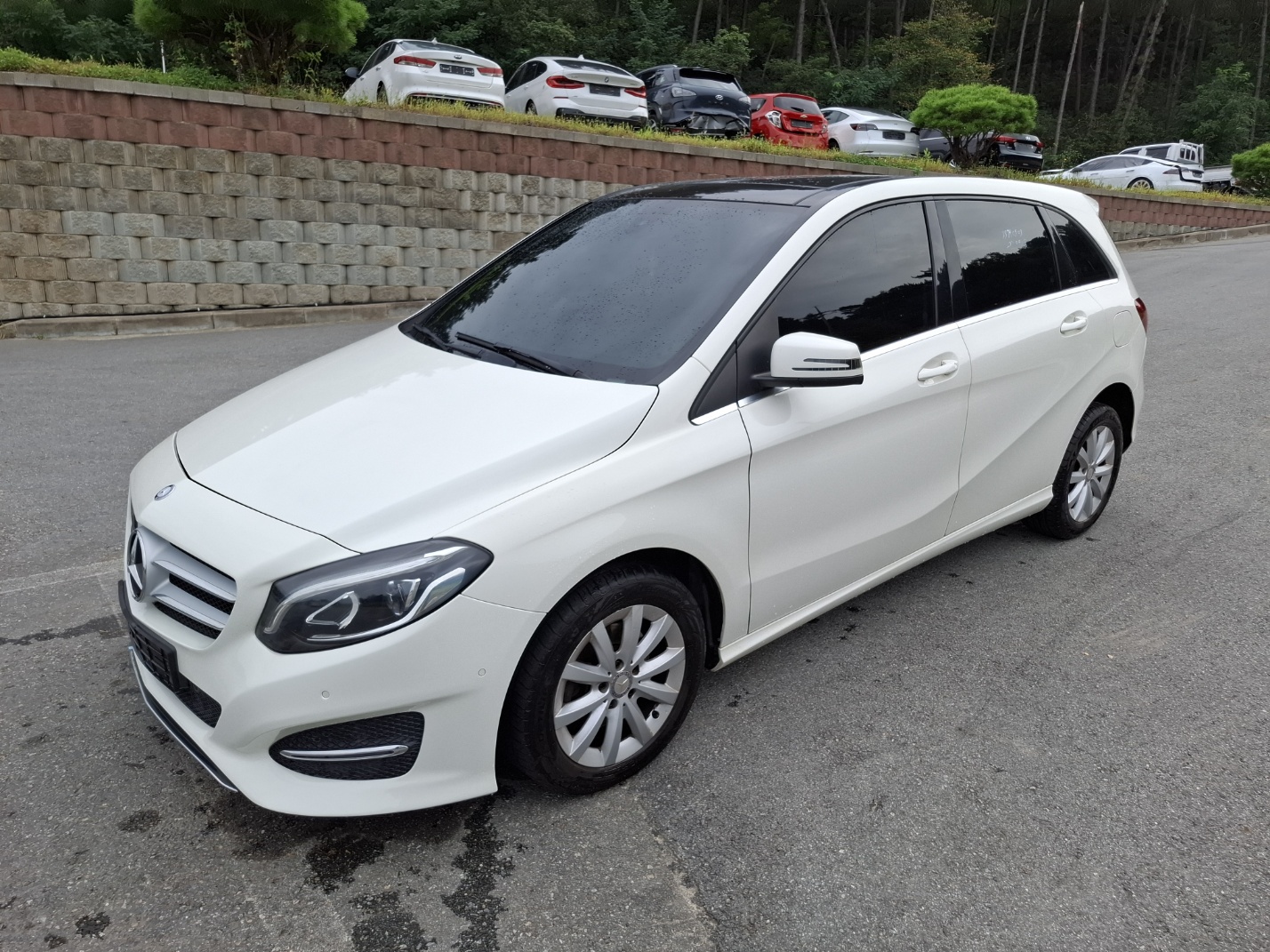 2015 Mercedes Benz B Class