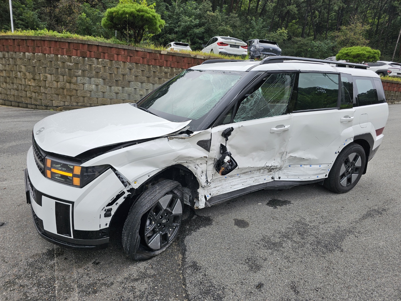 2024 Hyundai Santa Fe Hybrid MX5