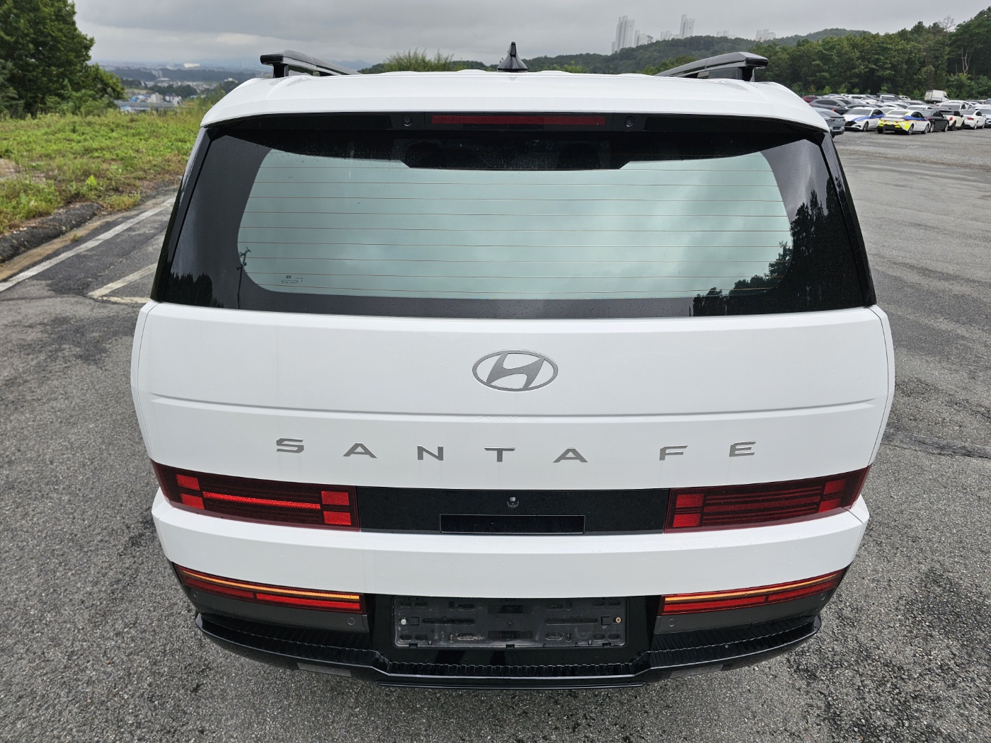 2024 Hyundai Santa Fe Hybrid MX5