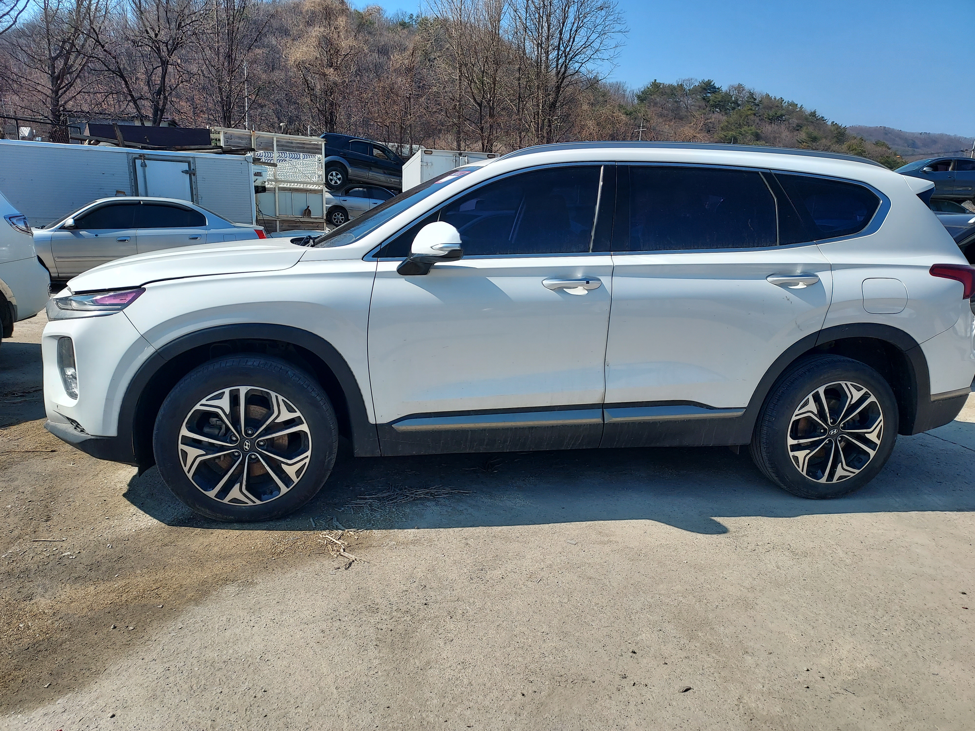 2019 Hyundai Santa Fe TM
