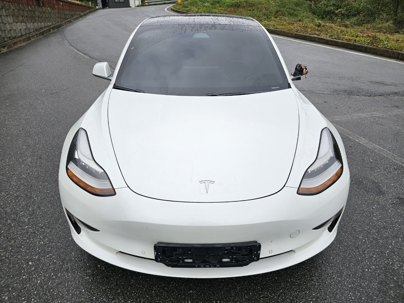 2019 Tesla MODEL 3 Standrad Range Plus