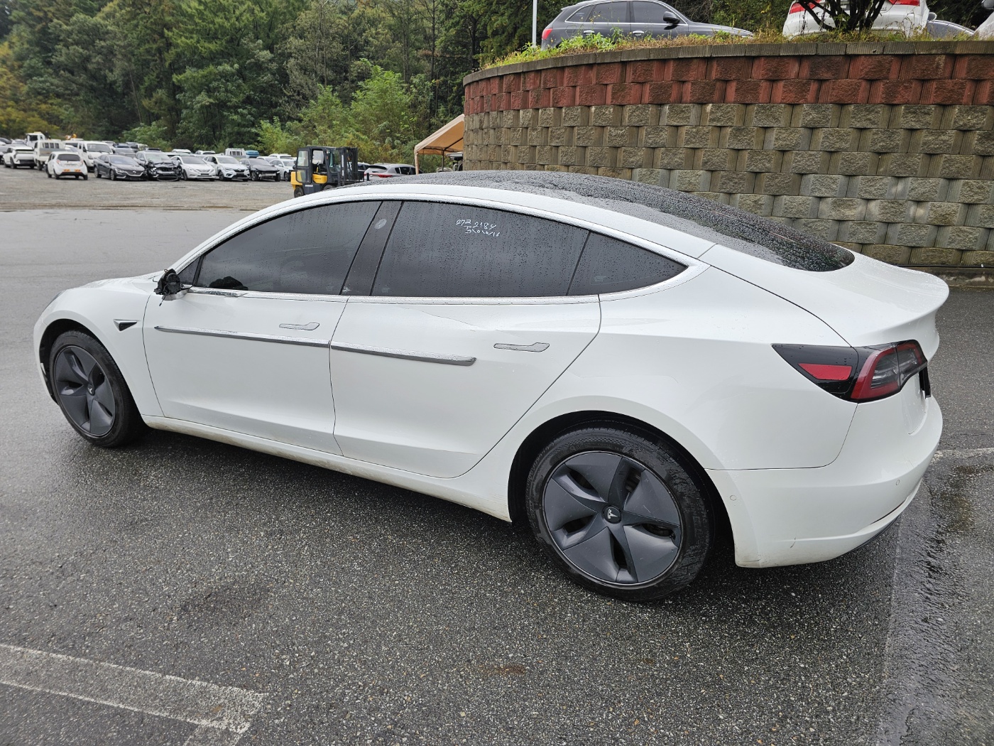 2019 Tesla MODEL 3 Standrad Range Plus