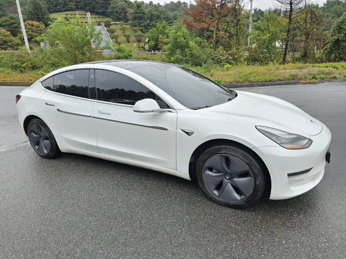 2019 Tesla MODEL 3 Standrad Range Plus