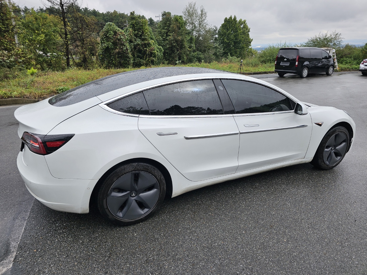 2019 Tesla MODEL 3 Standrad Range Plus
