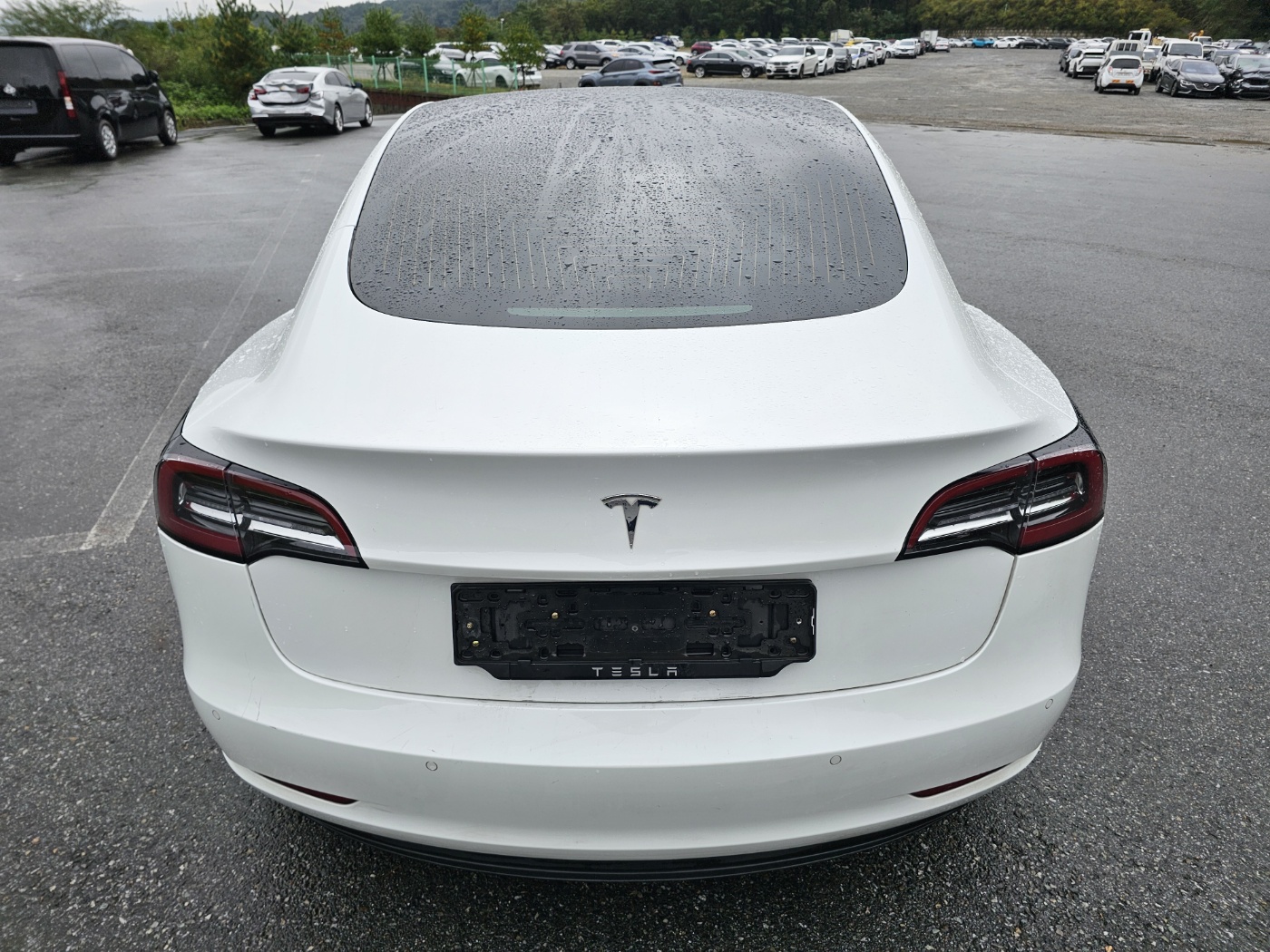 2019 Tesla MODEL 3 Standrad Range Plus