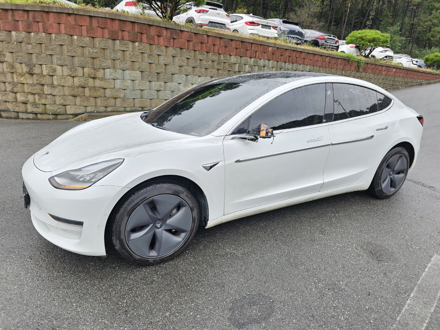 2019 Tesla MODEL 3 Standrad Range Plus