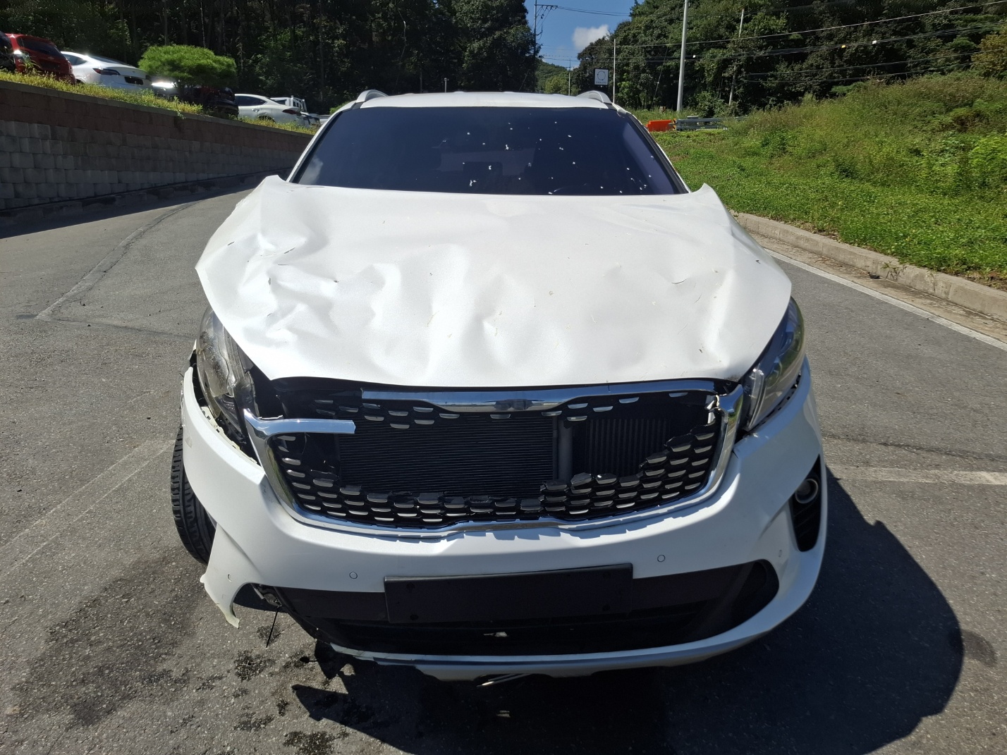 2018 Kia The New Sorento