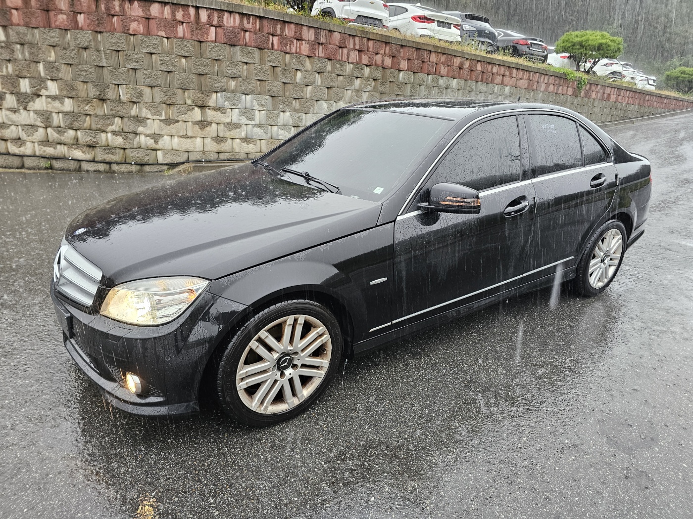 2010 Mercedes Benz C Class W204
