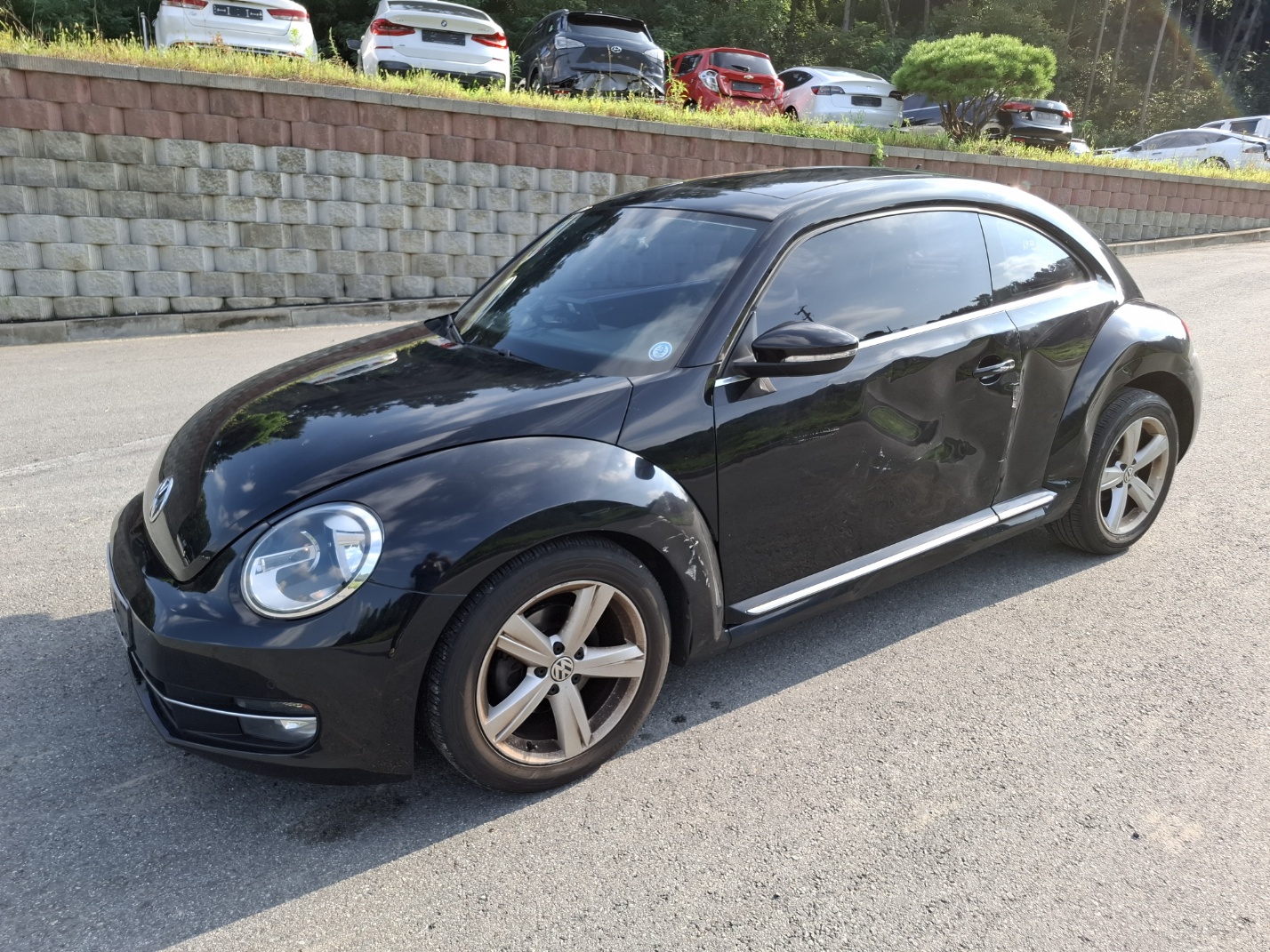 2013 Volkswagen The Beetle